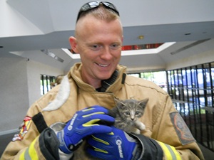 Fireman rescues cat