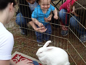 Child with rabbit