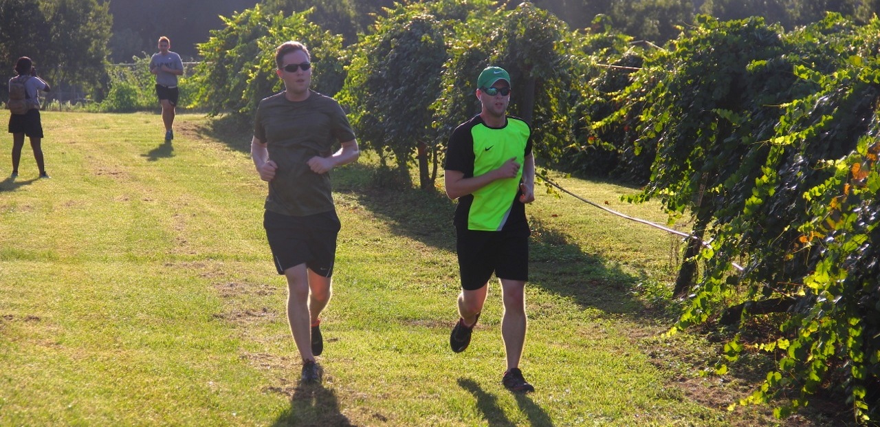 Two men running in a vineyard.