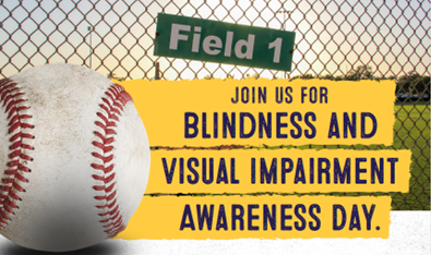 Blindness and visual impairment awareness day flyer.