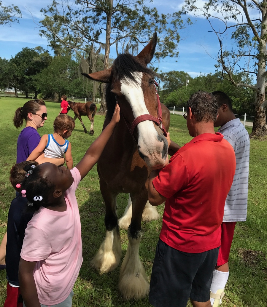 Students pet a horse.
